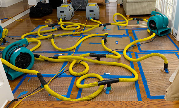 Professional Crawl Space Water Removal technician working in Damariscotta, ME